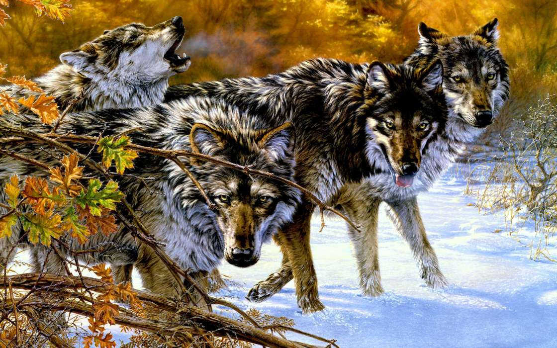 Wölfe,Tiere