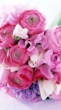 Lade kostenlos Hintergrundbilder Feiertage,Pflanzen,Blumen,Bouquets,8. März Internationaler Frauentag für Handy oder Tablet herunter.