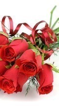 Feiertage,Pflanzen,Blumen,Roses,8. März Internationaler Frauentag für Samsung D900