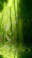 Abstrakt,Wasser,Grass für Sony Xperia L