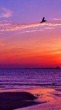 Lade kostenlos Hintergrundbilder Sunset,Sea,Seagulls,Landschaft für Handy oder Tablet herunter.