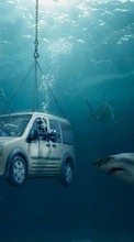 Lade kostenlos Hintergrundbilder Humor,Auto,Sea,Sharks,Ford für Handy oder Tablet herunter.