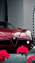 Lade kostenlos Hintergrundbilder Alfa Romeo,Auto,Transport für Handy oder Tablet herunter.