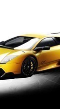 Transport,Auto,Lamborghini für Sony Xperia Z3