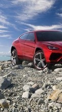 Transport,Auto,Lamborghini für Oppo Find X2 Pro