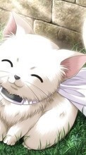 Lade kostenlos Hintergrundbilder Anime,Katzen für Handy oder Tablet herunter.