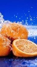 Oranges,Lebensmittel,Obst für OnePlus 8T