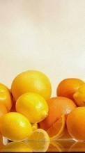 Lade kostenlos Hintergrundbilder Obst,Lebensmittel,Zitronen,Oranges für Handy oder Tablet herunter.