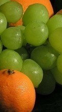 Obst,Lebensmittel,Oranges,Trauben für HTC Desire V