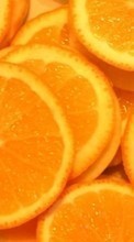 Lade kostenlos Hintergrundbilder Obst,Hintergrund,Oranges für Handy oder Tablet herunter.