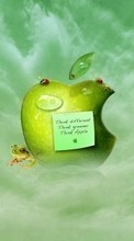 Lade kostenlos Hintergrundbilder Marken,Logos,Apple-,Äpfel für Handy oder Tablet herunter.