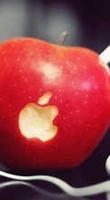Lade kostenlos Hintergrundbilder Apple-,Äpfel,Lebensmittel,Objekte für Handy oder Tablet herunter.