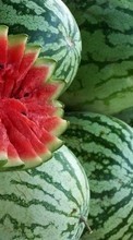Lade kostenlos Hintergrundbilder Pflanzen,Obst,Lebensmittel,Wassermelonen für Handy oder Tablet herunter.