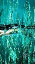 Wasser,Mädchen,Fantasie,Kunst,Meerjungfrauen für Sony Xperia T3
