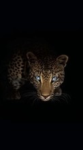 Lade kostenlos 128x160 Hintergrundbilder Tiere,Kunst,Leopards für Handy oder Tablet herunter.