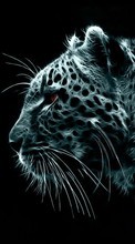 Lade kostenlos 360x640 Hintergrundbilder Tiere,Kunst,Leopards für Handy oder Tablet herunter.