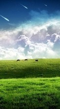 Lade kostenlos Hintergrundbilder Landschaft,Grass,Sky,Kunst für Handy oder Tablet herunter.