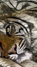 Lade kostenlos Hintergrundbilder Tiere,Kunst,Tigers,Bilder für Handy oder Tablet herunter.