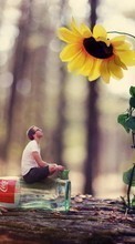 Menschen,Blumen,Sonnenblumen,Fotokunst,Männer für HTC Sensation XE