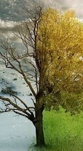 Landschaft,Bäume,Fotokunst für HTC Sensation XE