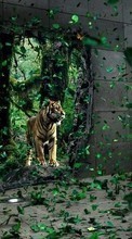 Lade kostenlos Hintergrundbilder Tiere,Fotokunst,Tigers für Handy oder Tablet herunter.