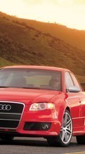 Lade kostenlos 800x480 Hintergrundbilder Transport,Auto,Audi für Handy oder Tablet herunter.
