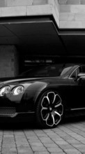 Lade kostenlos 720x1280 Hintergrundbilder Transport,Auto,Bentley für Handy oder Tablet herunter.