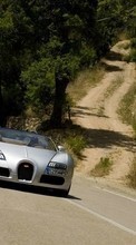 Lade kostenlos Hintergrundbilder Transport,Auto,Roads,Bugatti für Handy oder Tablet herunter.
