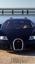 Lade kostenlos Hintergrundbilder Transport,Auto,Bugatti für Handy oder Tablet herunter.