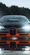 Lade kostenlos Hintergrundbilder Transport,Auto,Bugatti für Handy oder Tablet herunter.
