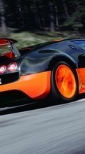 Lade kostenlos Hintergrundbilder Auto,Bugatti,Transport für Handy oder Tablet herunter.