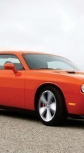 Lade kostenlos Hintergrundbilder Transport,Auto,Dodge Challenger für Handy oder Tablet herunter.