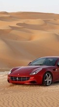 Lade kostenlos Hintergrundbilder Auto,Ferrari,Transport für Handy oder Tablet herunter.