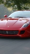 Lade kostenlos 320x240 Hintergrundbilder Transport,Auto,Ferrari für Handy oder Tablet herunter.