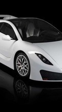 Lade kostenlos 320x480 Hintergrundbilder Transport,Auto,Ferrari für Handy oder Tablet herunter.