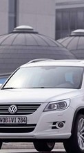 Lade kostenlos Hintergrundbilder Transport,Auto,Volkswagen für Handy oder Tablet herunter.