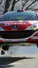 Auto,Rennen,Peugeot,Sport,Transport für HTC Sensation