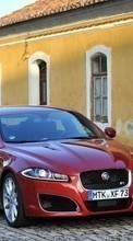 Auto,Jaguar,Transport für Sony Ericsson Xperia X8