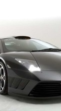Lade kostenlos 240x320 Hintergrundbilder Transport,Auto,Lamborghini für Handy oder Tablet herunter.