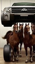 Lade kostenlos Hintergrundbilder Auto,Pferde,Transport,Tiere für Handy oder Tablet herunter.
