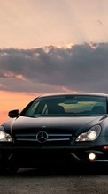 Auto,Mercedes,Transport