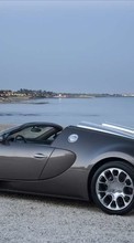 Lade kostenlos Hintergrundbilder Transport,Auto,Sky,Sea,Bugatti für Handy oder Tablet herunter.