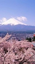 Lade kostenlos Hintergrundbilder Asien,Mountains,Landschaft,Sakura für Handy oder Tablet herunter.