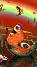 Schmetterlinge,Insekten,Bilder für Apple iPhone 5C