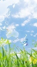 Lade kostenlos Hintergrundbilder Landschaft,Schmetterlinge,Grass,Sky für Handy oder Tablet herunter.