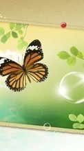 Lade kostenlos 800x480 Hintergrundbilder Schmetterlinge,Bilder für Handy oder Tablet herunter.