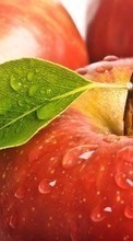 Lade kostenlos Hintergrundbilder Lebensmittel,Hintergrund,Äpfel,Drops,Obst für Handy oder Tablet herunter.
