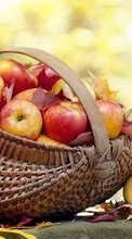 Lade kostenlos Hintergrundbilder Obst,Lebensmittel,Äpfel für Handy oder Tablet herunter.