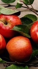Lade kostenlos Hintergrundbilder Obst,Lebensmittel,Äpfel für Handy oder Tablet herunter.