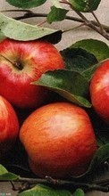 Lade kostenlos Hintergrundbilder Pflanzen,Obst,Lebensmittel,Äpfel für Handy oder Tablet herunter.